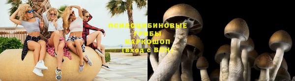 каннабис Михайловка